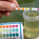 How to Clear Cloudy Pool Water: Causes and Step-by-Step Fixes